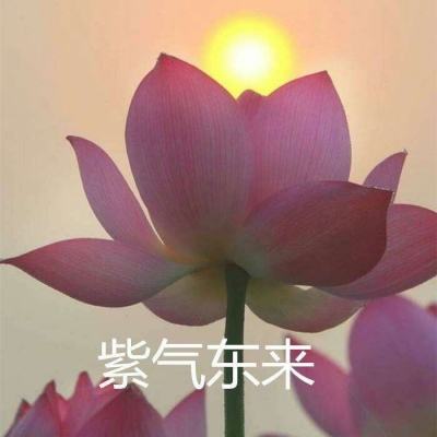 易欢传手游